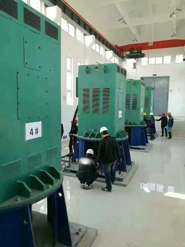 扎赉特某污水处理厂使用我厂的立式高压电机安装现场